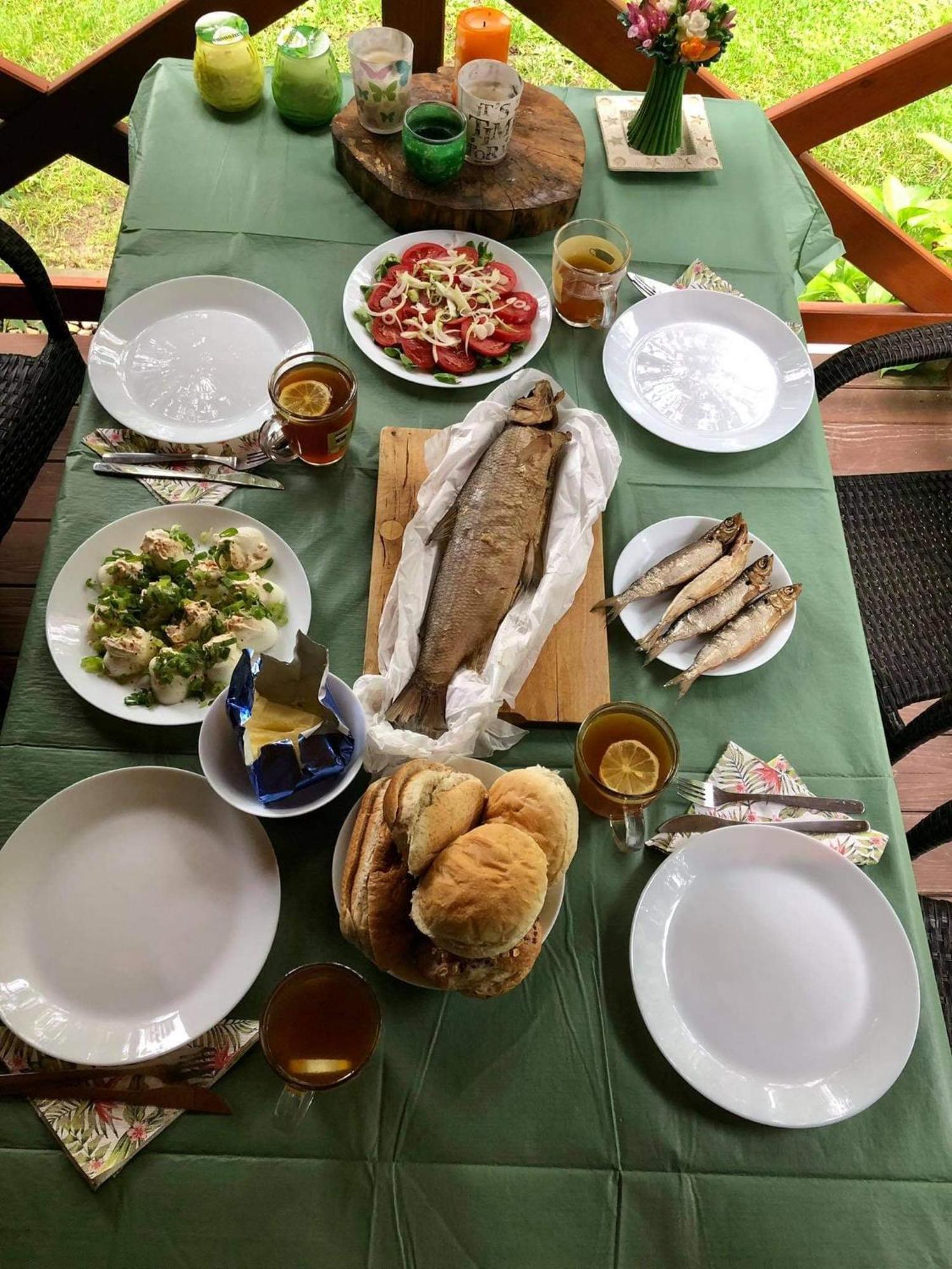 Wilkaski Zakatek غيجيتسكو المظهر الخارجي الصورة